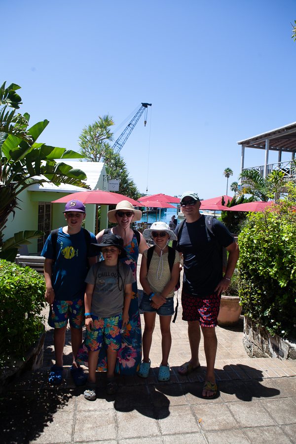 IMG 2966